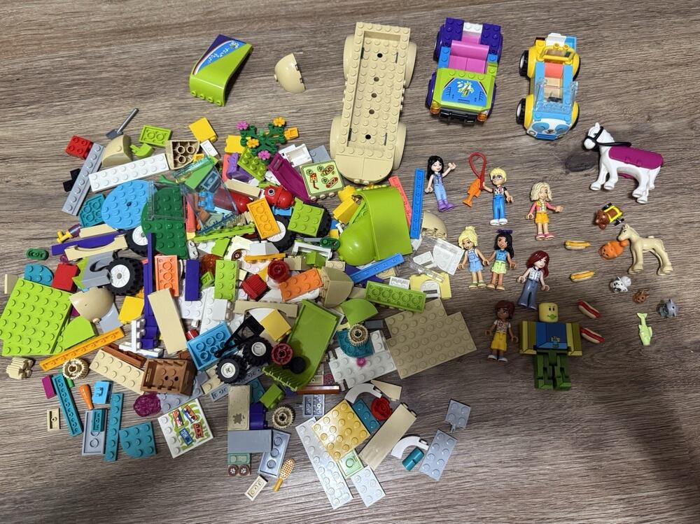 LEGO FRIENDS Random PCS 200+ 8 minifigs 7 pets RANDOM